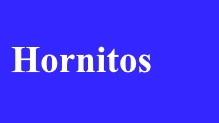 Hornitos CA
