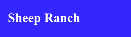 Sheep Ranch CA